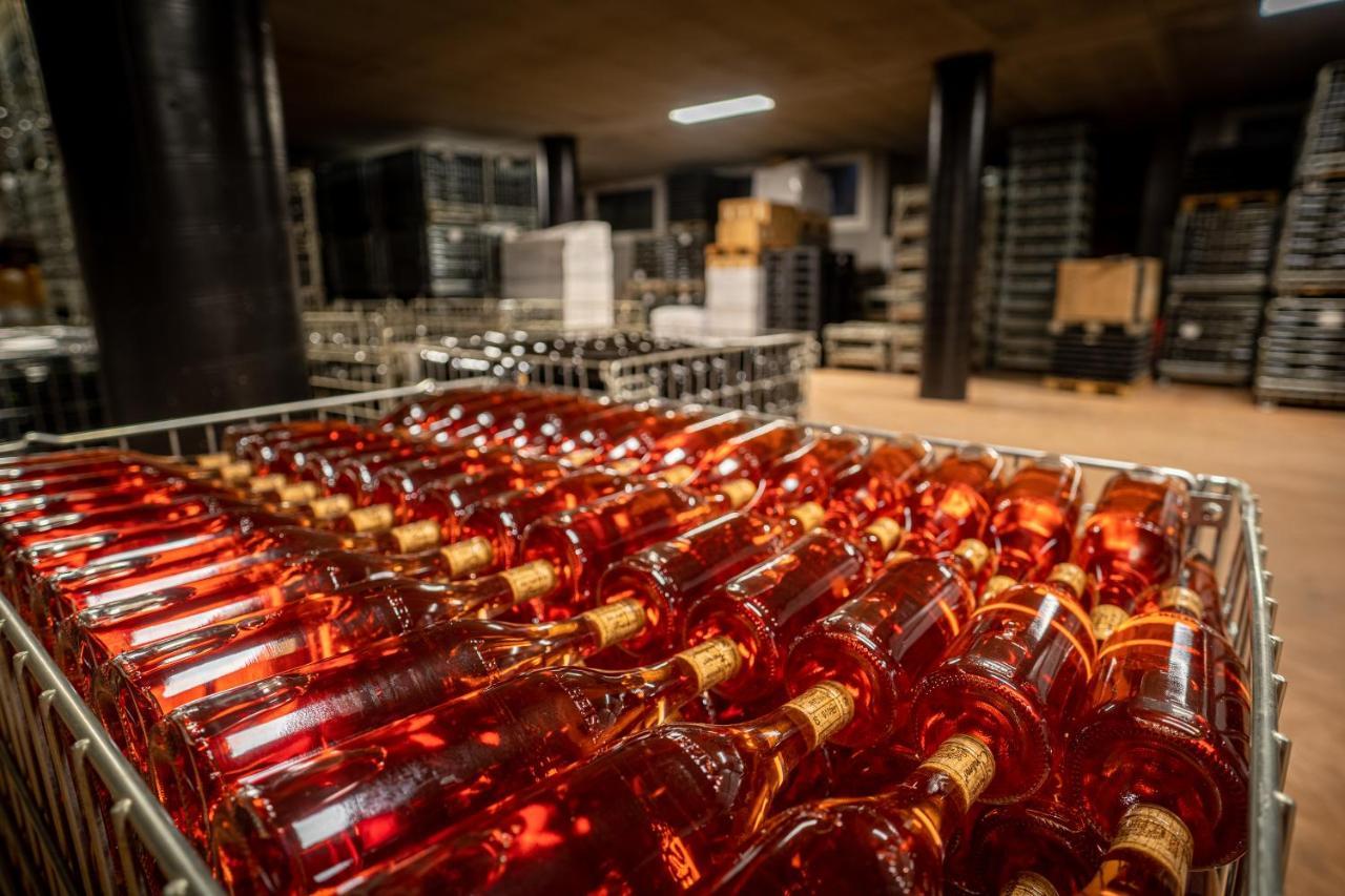 Agriturismo Cascina Sciulun モンフォルテ・ダルバ エクステリア 写真
