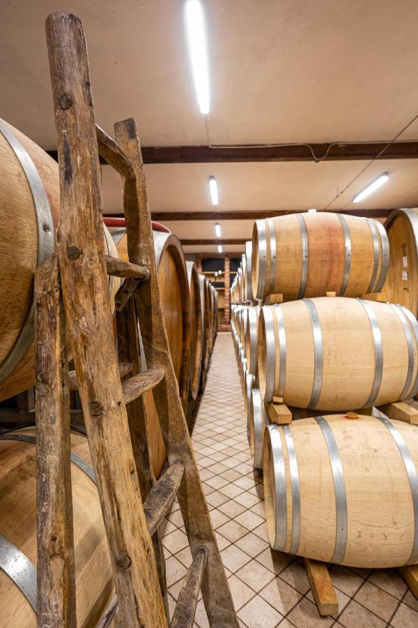 Agriturismo Cascina Sciulun モンフォルテ・ダルバ エクステリア 写真