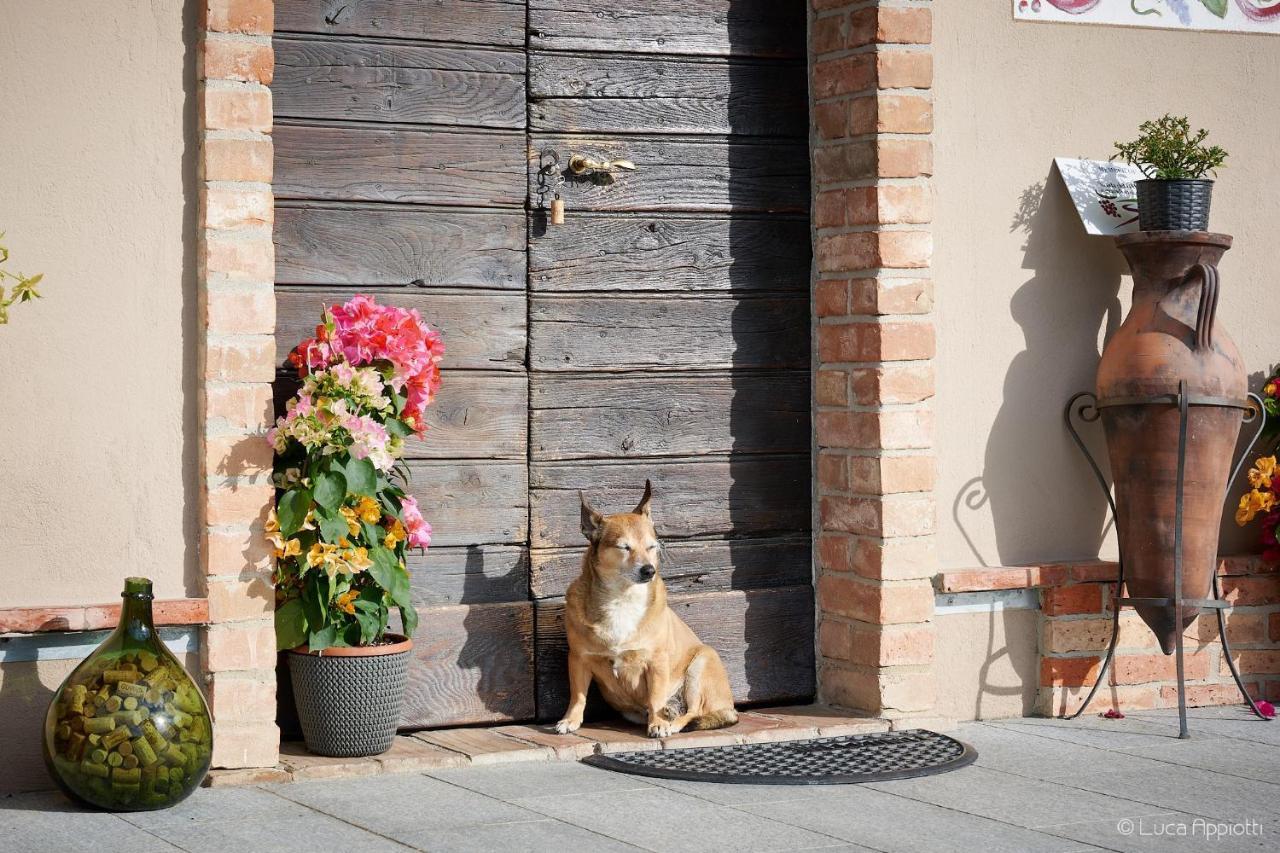 モンフォルテ・ダルバ Agriturismo Cascina Sciulunゲストハウス エクステリア 写真