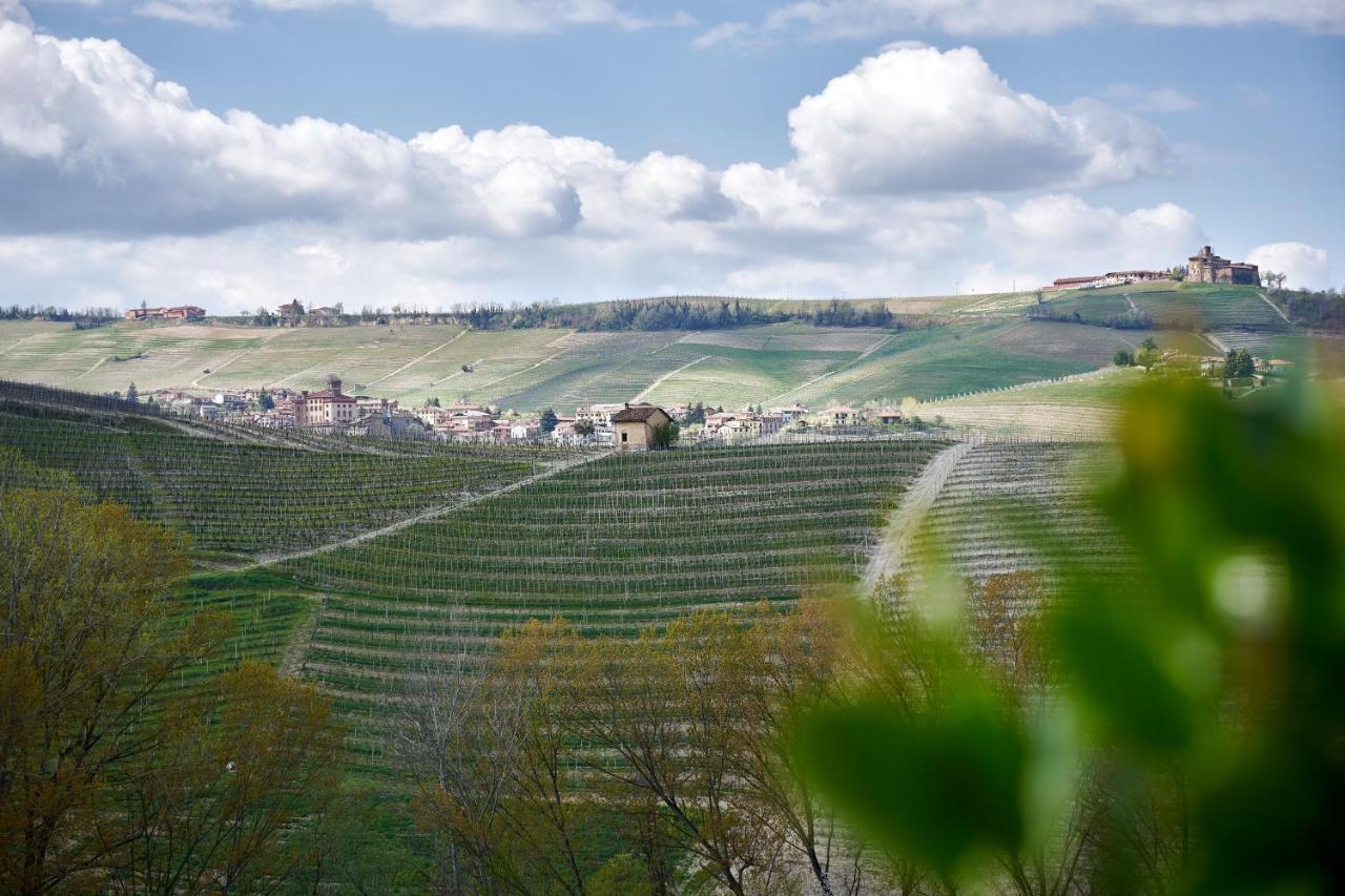 モンフォルテ・ダルバ Agriturismo Cascina Sciulunゲストハウス エクステリア 写真